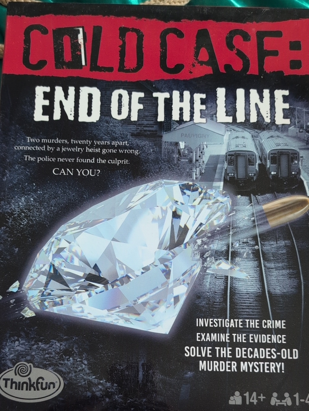 Cold Case: End of the Line Murder Mystery Case